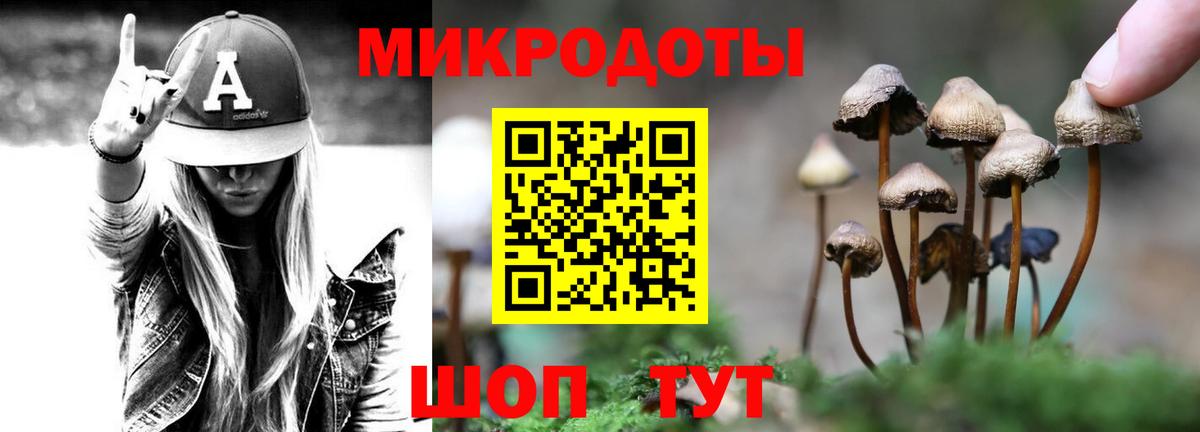 Псилоцибиновые грибы MAGIC MUSHROOMS  Галлюциногенные грибы Cubensis  Заволжье  Вход с VPN 